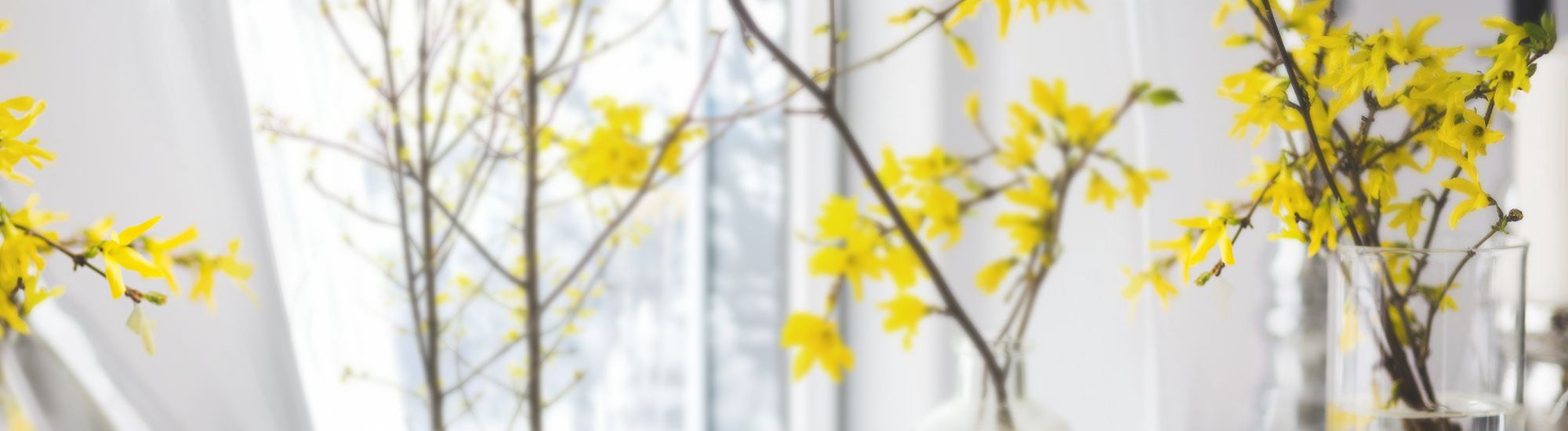 Salzladen Deutschland